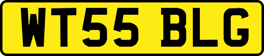 WT55BLG