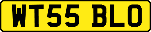 WT55BLO