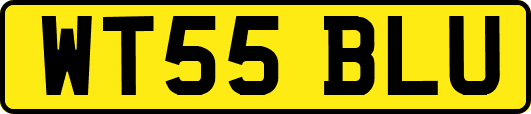 WT55BLU