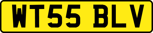 WT55BLV