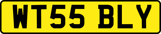 WT55BLY