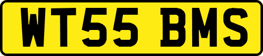 WT55BMS