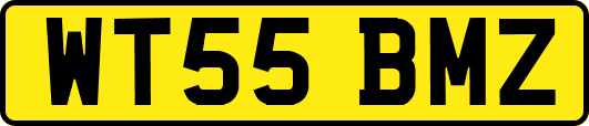 WT55BMZ