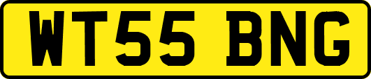 WT55BNG