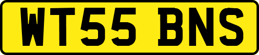 WT55BNS