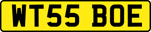 WT55BOE
