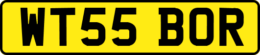 WT55BOR