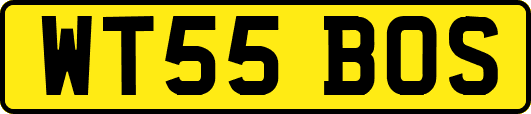 WT55BOS