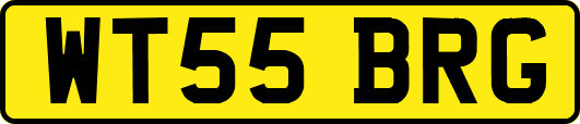 WT55BRG