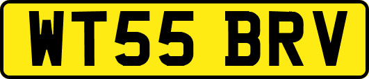 WT55BRV