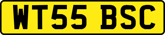 WT55BSC