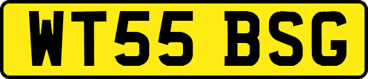 WT55BSG