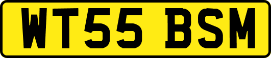 WT55BSM