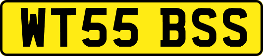 WT55BSS
