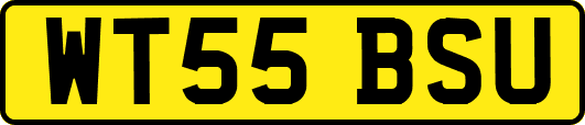 WT55BSU