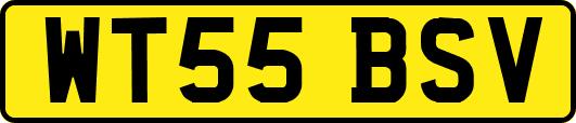 WT55BSV