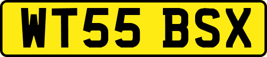 WT55BSX