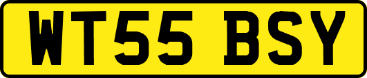 WT55BSY