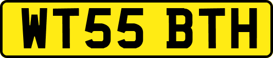 WT55BTH