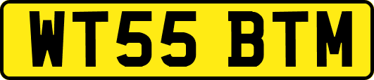 WT55BTM
