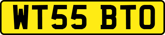 WT55BTO