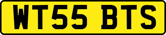 WT55BTS