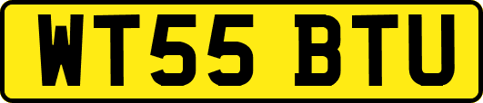 WT55BTU