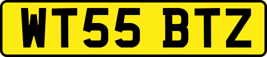 WT55BTZ
