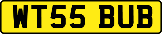 WT55BUB