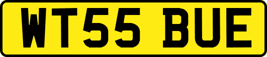 WT55BUE