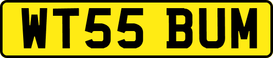 WT55BUM
