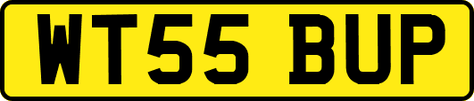 WT55BUP