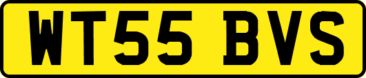 WT55BVS