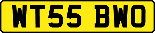 WT55BWO