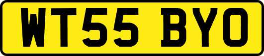 WT55BYO