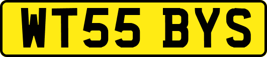 WT55BYS