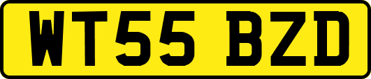 WT55BZD