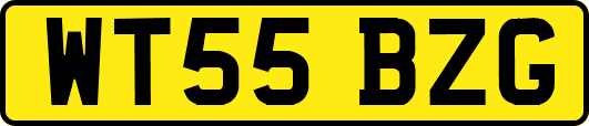 WT55BZG