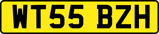 WT55BZH