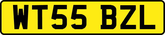 WT55BZL