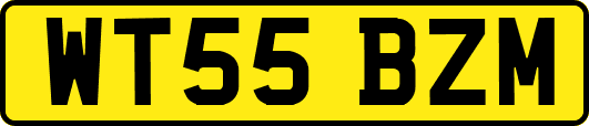 WT55BZM