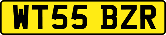 WT55BZR