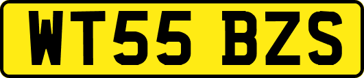 WT55BZS