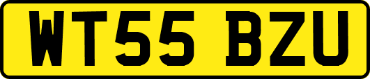 WT55BZU