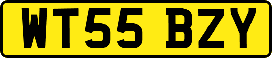 WT55BZY