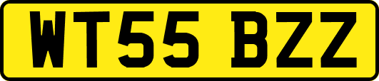 WT55BZZ