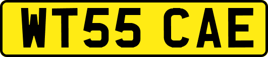WT55CAE