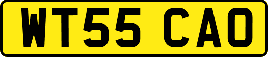 WT55CAO