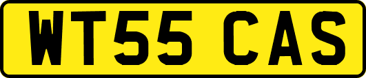 WT55CAS