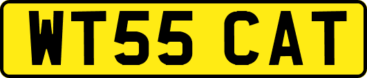 WT55CAT